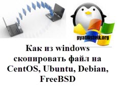 копирование файлов из windows в linux