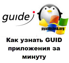 как узнать GUID приложения