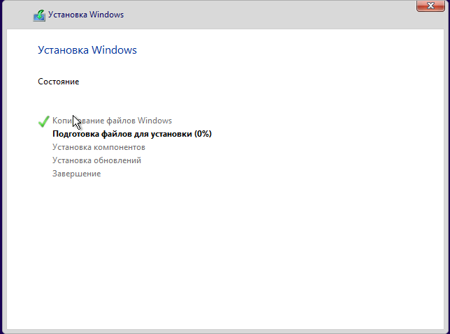 установить Windows 10 professional-06-1