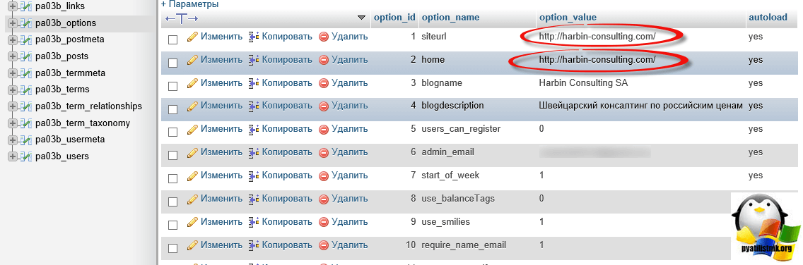 Делегирование домена с reg.ru на mchost.ru-12