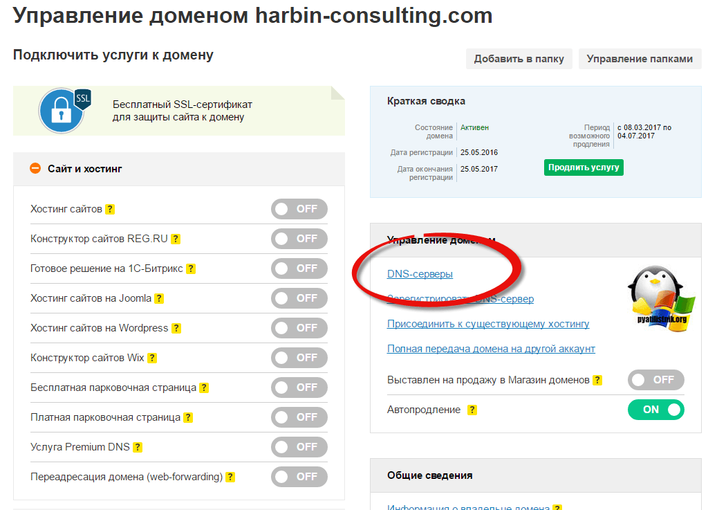 Делегирование домена с reg.ru на mchost.ru-2