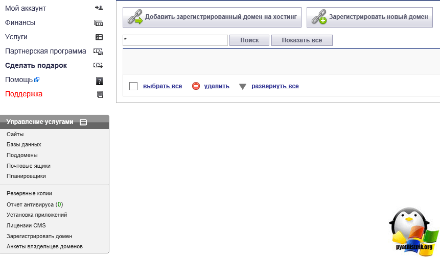 Делегирование домена с reg.ru на mchost.ru-5
