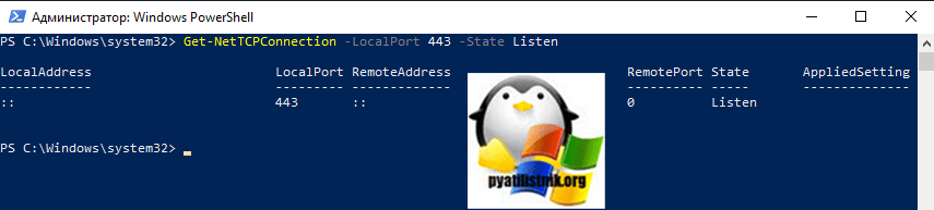 Проверка порта 443 на доступность через PowerShell