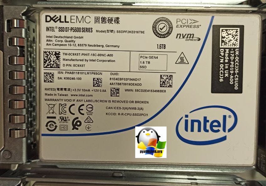 NVME диск Intel SSD D7-P5600