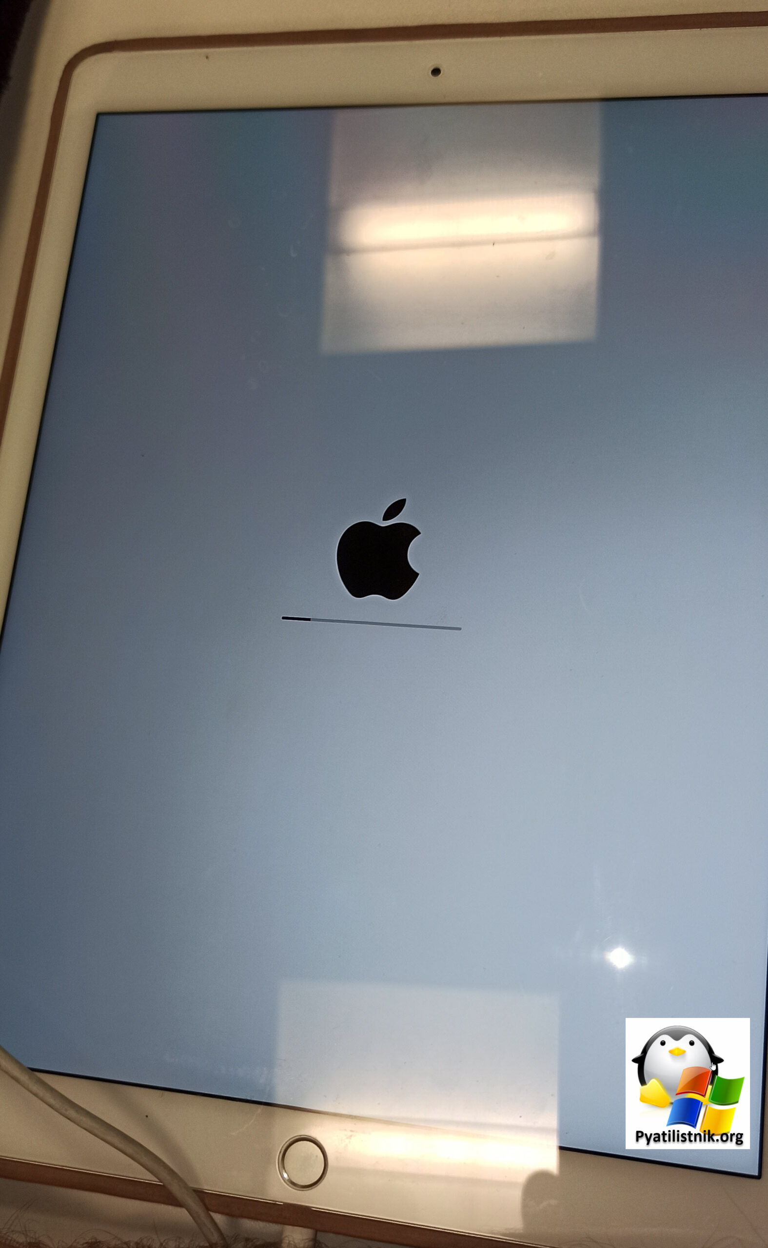 Бегунок обновления на Apple iPad Pro 12.9 64Gb Silver