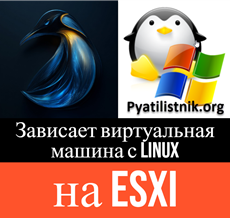 Зависает виртуальная машина с Linux на ESXI