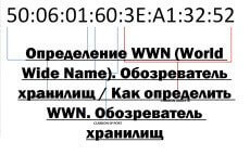 Определение WWN (World Wide Name). Обозреватель хранилищ