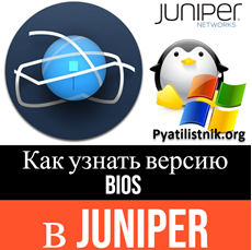 Juniper определить версию BIOS
