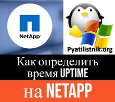 netapp uptime