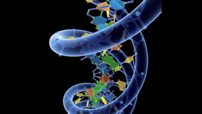 HDD на базе ДНК может хранить информацию в течение 2 млн лет-2