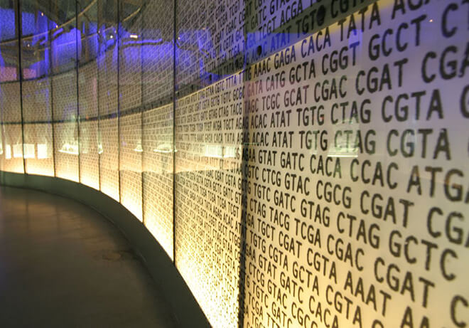 HDD на базе ДНК может хранить информацию в течение 2 млн лет