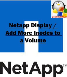 Netapp Display / Add More Inodes to a Volume