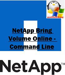 NetApp Bring Volume Online - Command Line