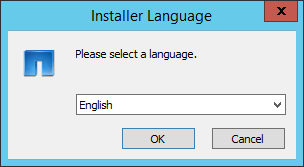 Как установить System Manager в Windows-01