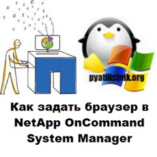 Как задать браузер в NetApp OnCommand System Manager-01