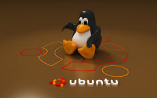 Ошибка Connect-disconnect timeout в Ubuntu
