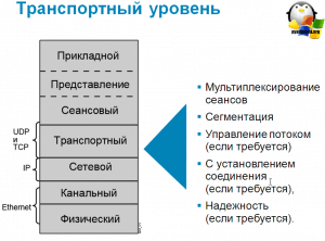 Чем отличается выделенные файл серверы от невыделенных