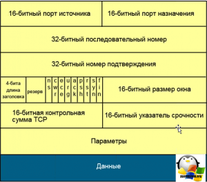 Чем отличается выделенные файл серверы от невыделенных