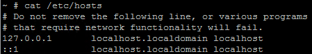 При подключении к MSM LSI ESXI хост определяется как 127.0.0.1-05