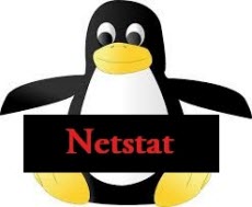 Утилита netstat или как определить какие порты слушает ваш компьютер. Сетевые утилиты 4 часть-01