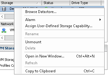 browse datastore vmware