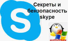 Секреты и бензопасность skype