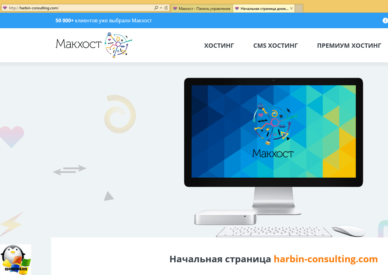 Делегирование домена с reg.ru на mchost.ru-7