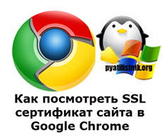 Как посмотреть SSL сертификат сайта в Google Chrome