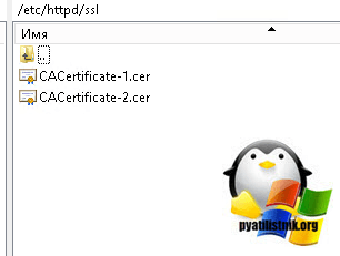 корневой ssl сертификат битрикс-2