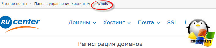 проверить возраст домена nic.ru