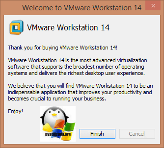 Активация Vmware Workstation 14-02