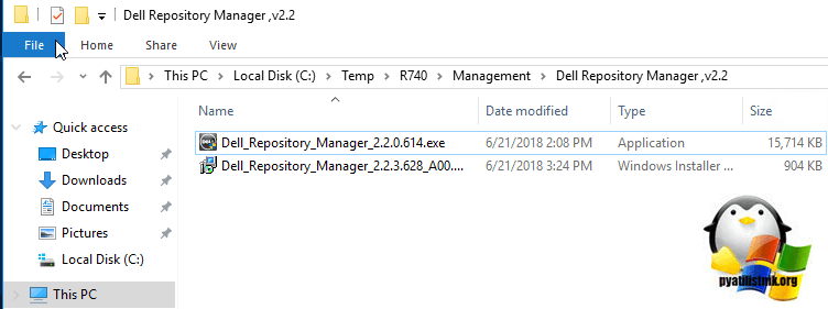 Установка Dell Repository Manager ,v2.2-01