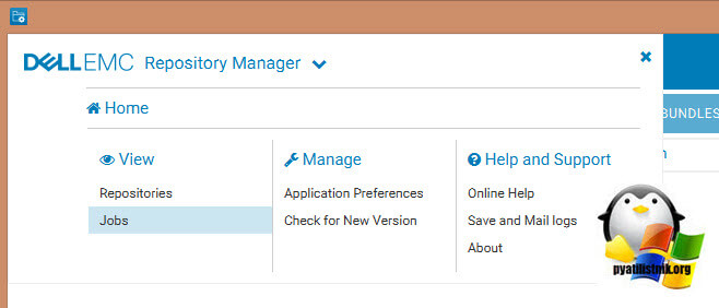 Задания в Dell EMC Repository Manager