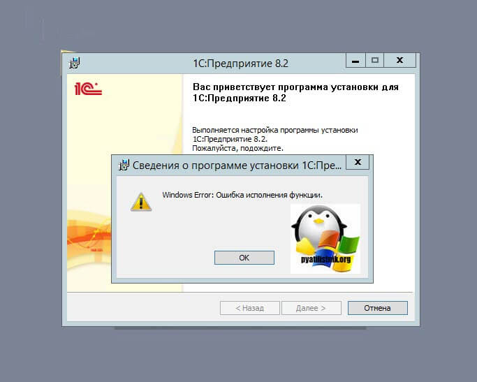 Windows Error Ошибка исполнения функции-01