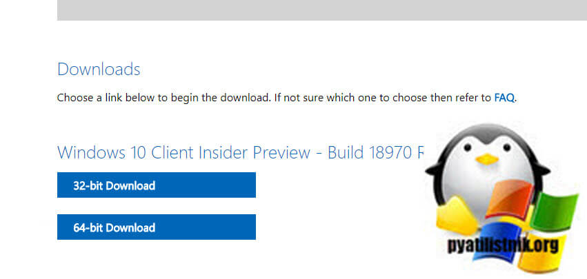 Выбор разрядности windows 10 insider preview ISO