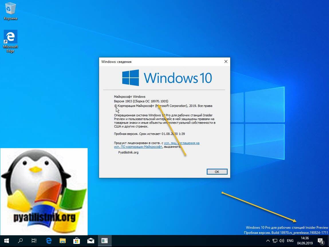 проверка версии сборки windows 10 insider preview