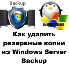Windows Server Backup logo