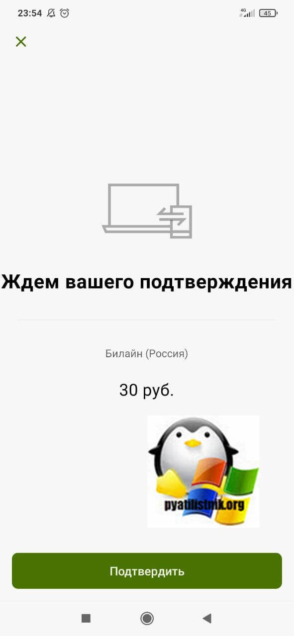 Подтверждение оплаты телефона билайн в ЮMoney (Яндекс.Деньги)