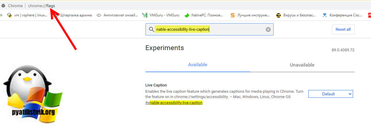 Активация enable-accessibility-live-caption