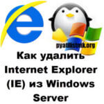 Как удалить Internet Explorer (IE) из Windows Server и Windows 10