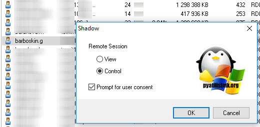 Использование Shadow в Terminal Services Manager