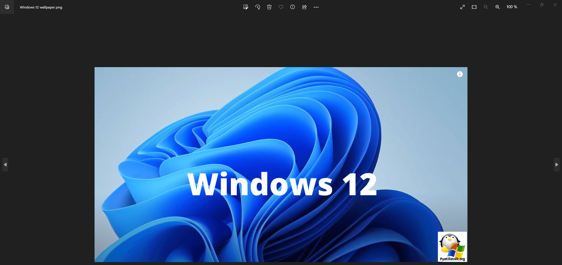 приложение фотографии Windows 11