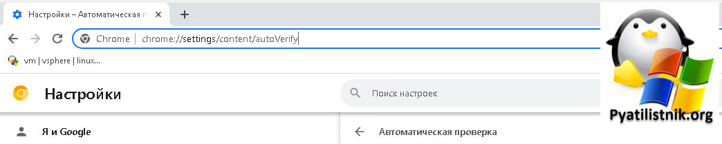 Адрес опции Auto-verify в Chrome
