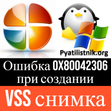 vss logo
