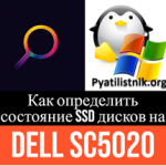 Как определить состояние SSD дисков на Dell SC5020 Как определить состояние SSD дисков на Dell SC5020