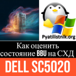 Как оценить состояние BBU на СХД Dell SC5020 Как оценить состояние BBU на СХД Dell SC5020
