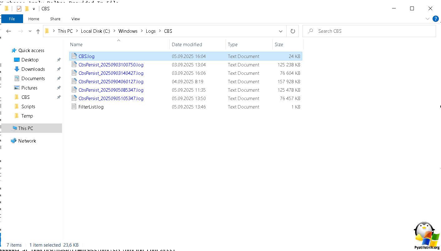 Файл CBS.log